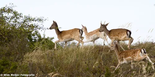 10559280974 52d563fba2 o