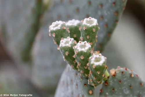 10815645585 78df63b724 o