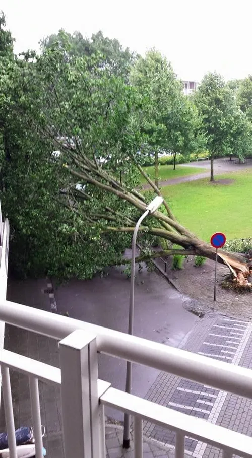 11218755 1159151154098667 5352275428855233310 n