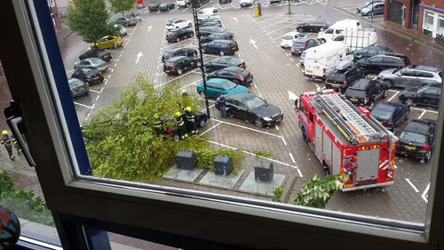 11798275 519033848243861 1280944775 n