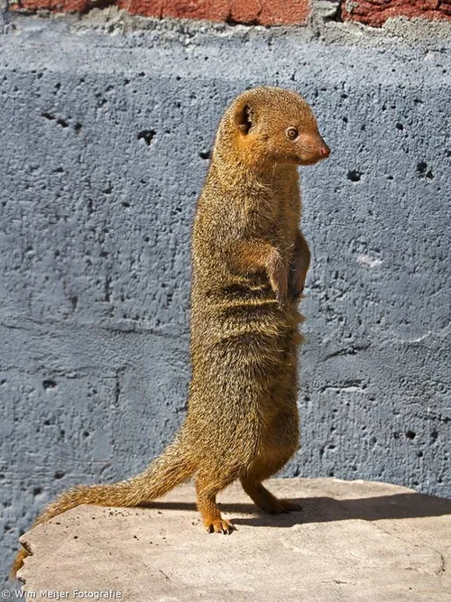 11889529 1085354481476503 9002932131879649194 n