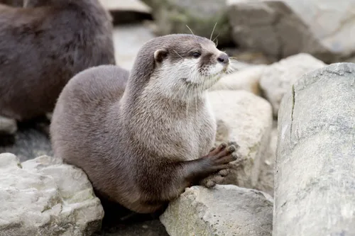 12195617163 c87d07a215 o