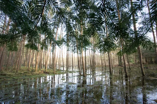 1220 1a11f10e8775042b60d8063200296c5f