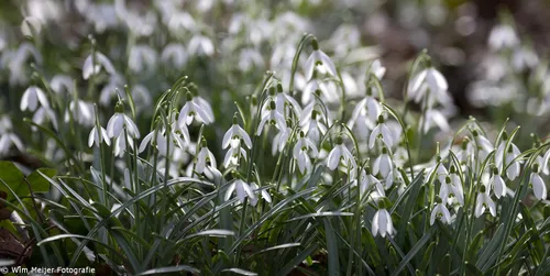 12819407775 65fd75550a o