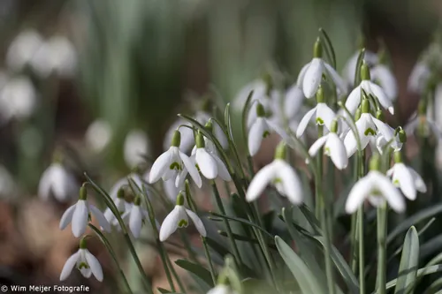 12819492703 7d84cef0d6 o