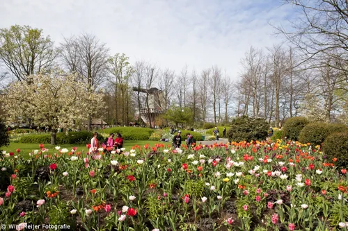 13786556505 74bc0b85d1 o