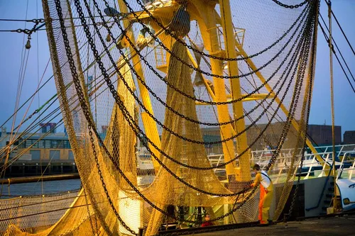 1482887 619999808067746 1684000210 n