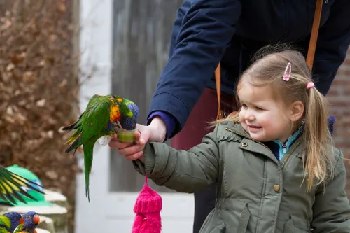 16854068310 9a5a264e36 k