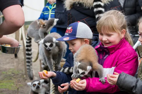 17040695001 e682c91db4 k