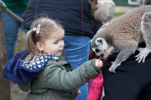 17040826711 1f829a2f08 k