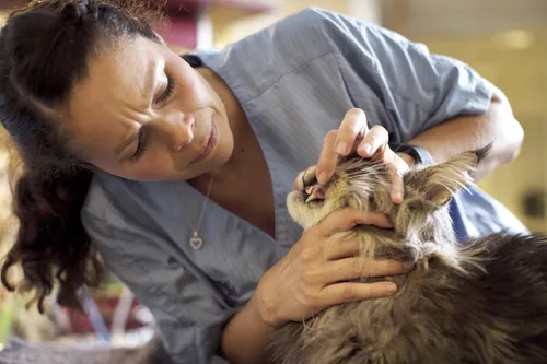 1811 1d7da9f116ce66f7190d08cabcee0cab