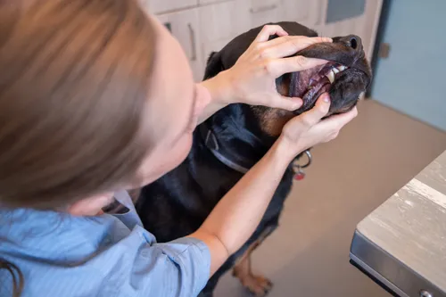 1811 3ab593199c83588ac9ba39835508784f