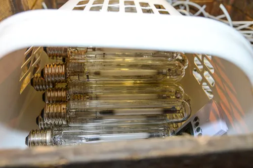 20150409 hennep 3693