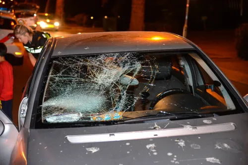 20150612 vondellaan 5