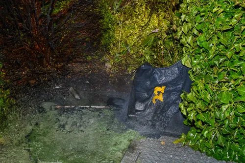 20150706 princesselaan 1