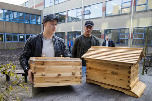 20161124 nova bijen 13 groot