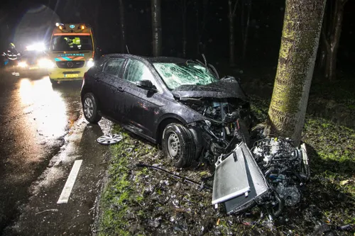 20190207 nieuwsfoto droompark 04