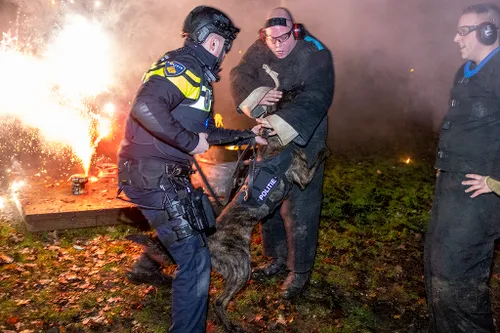 20221222 vuurwerk politiehonden 10