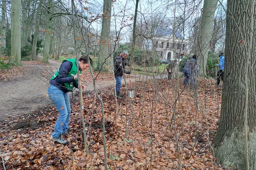 20230106 133353 oogstdag plan boom beverwijk