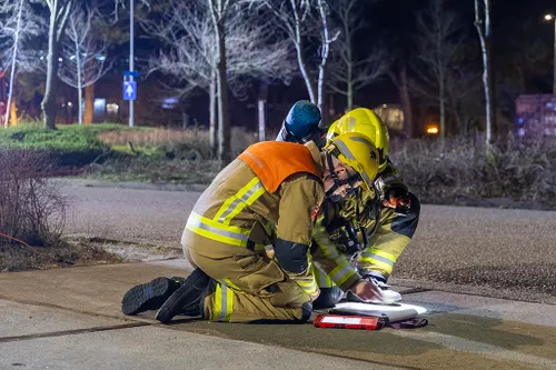 20240227 biesland 03