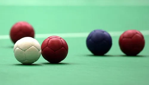 241000 boccia equipment balls wiki