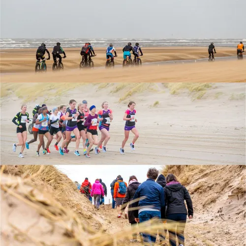 241660873 4453938121330597 7573535576959666530 n