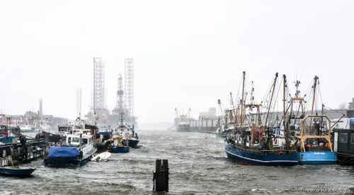 26841407 1505568716209056 1091045439437769669 o