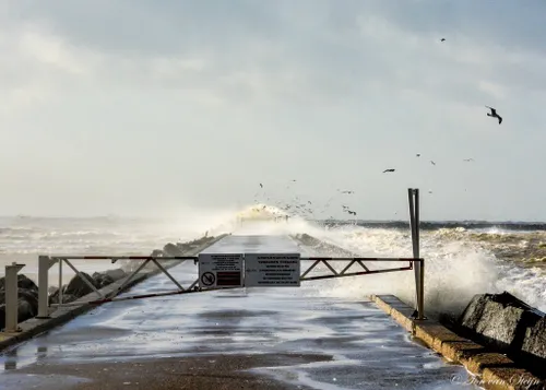 27021652 1504772466288681 4308489285537887833 o