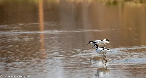 277779768 111071368230728 6201127295958444921 n