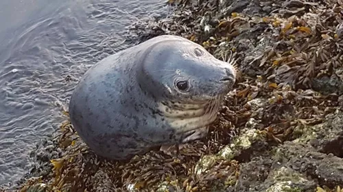 30420029 982800331895317 6841882329778402875 o