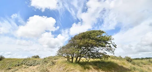 31969775 654225471635969 8736391477850013696 n1