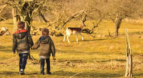 31969980 10216817189329190 8394923577610076160 n