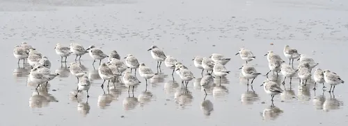 35081030 10217083925477427 531897107942998016 n