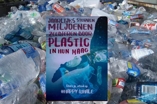 36611282 2115400455168074 6247891549716217856 n