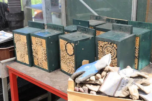 3z1a0746 insectenhotel wim meijer fotografie