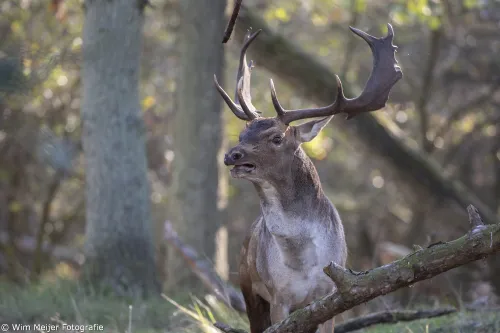 44131504 2591998400812096 8340376758511468544 o