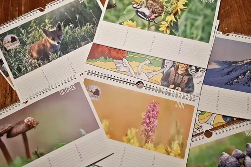 46502219 352517358886633 7799831910011633664 n