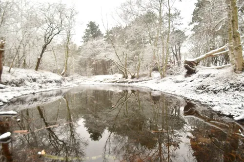 51274355 10219051685870207 6068355491472343040 o