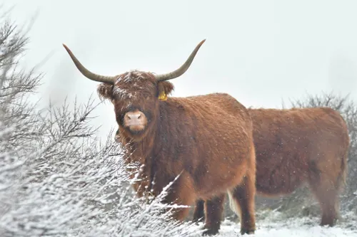 51424040 144243843181249 4922092362995335168 n