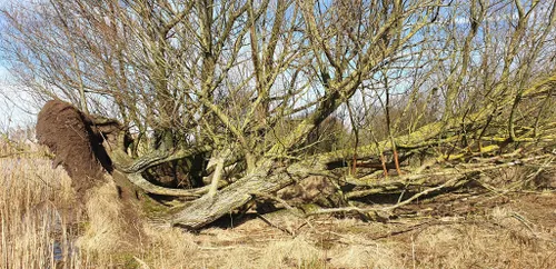 53285544 500777386995854 439247812895440896 n