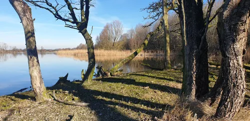 53463528 250292845912711 5589684925386194944 n