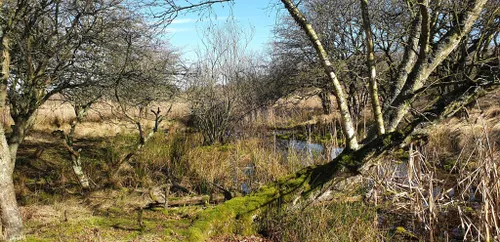 54256211 2318053001806853 605151228329984000 n