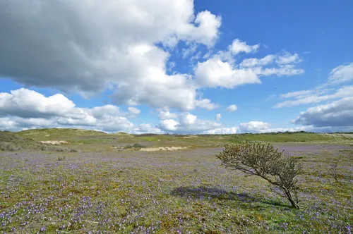 56387507 351273955520817 7674802963893714944 n