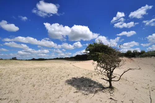 56608792 678840495891312 3753360796009103360 n