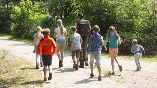 66680410 2316345635360379 7935190793642311680 n