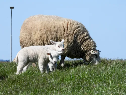 91820184 2775515925880989 6845172697152880640 o