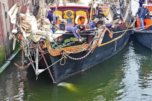 95923588 2841407095958538 502822872293572608 o