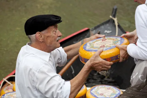 9633050639 29f7c7cccc h