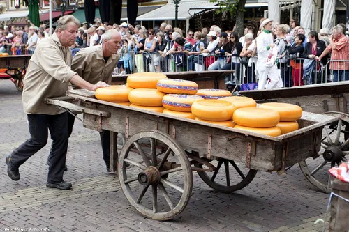 9636290634 3939e9e41b h