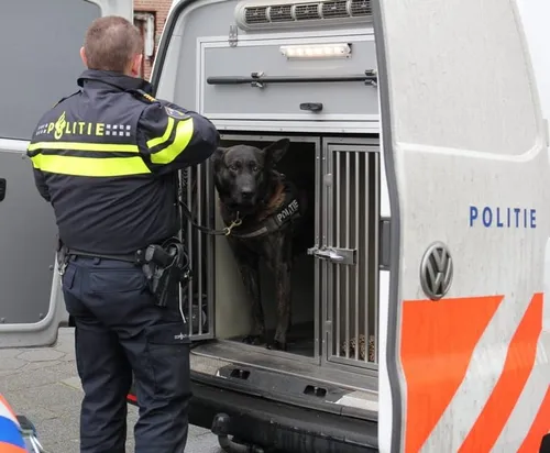 banner as 20160226112525